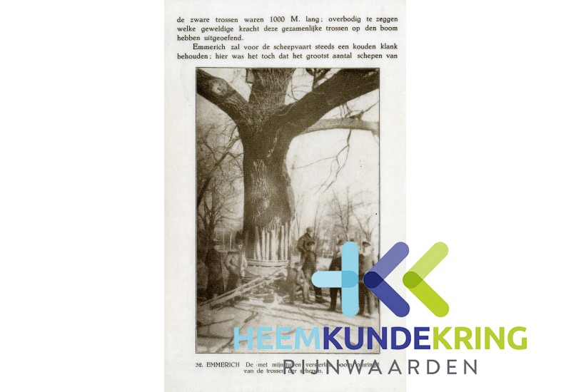 WinterOpDenRijn.25 coll RWS HK Rijnwaarden F00001057